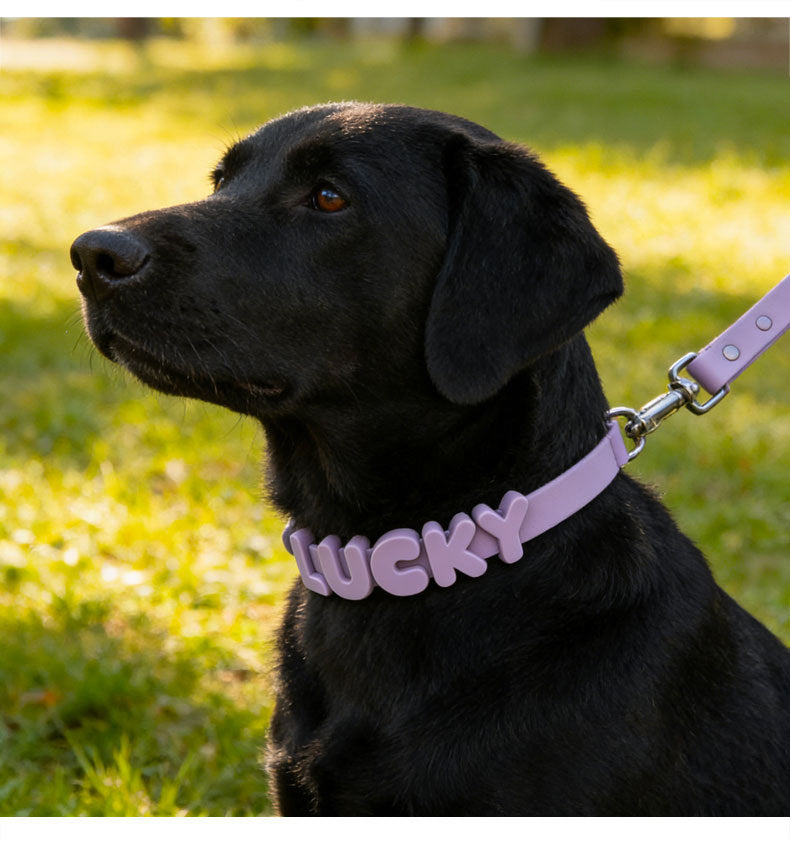 Personalized Silicone Pet Name Collar | DIY Letter Dog & Cat Collar|Multiple Color Choices|Easy Take on/off|Pet Collar