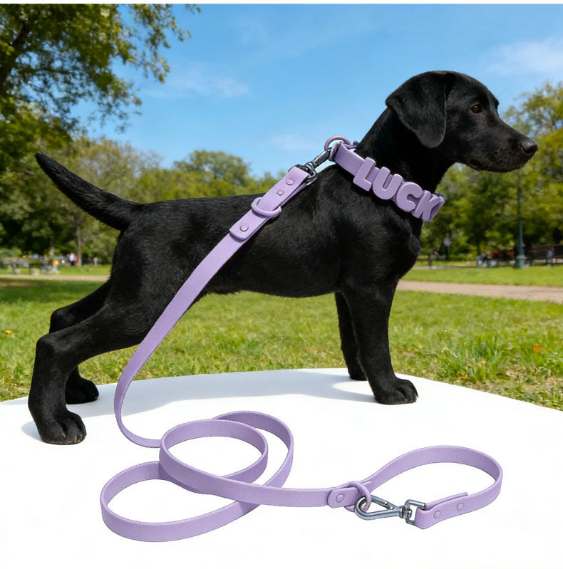 Personalized Silicone Pet Name Collar | DIY Letter Dog & Cat Collar|Multiple Color Choices|Easy Take on/off|Pet Collar