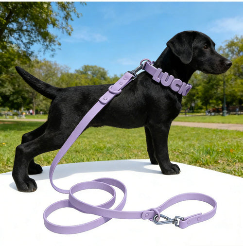 Personalized Silicone Pet Name Collar | DIY Letter Dog & Cat Collar|Multiple Color Choices|Easy Take on/off|Pet Collar