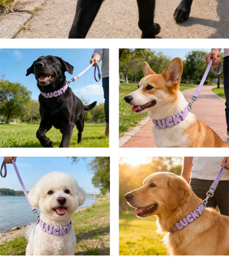 Personalized Silicone Pet Name Collar | DIY Letter Dog & Cat Collar|Multiple Color Choices|Easy Take on/off|Pet Collar